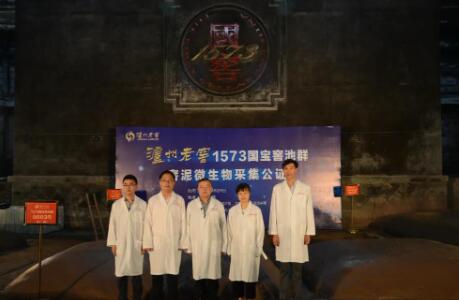 再添国家级荣誉！泸州老窖推动传统酿造向“新质生产力”转型