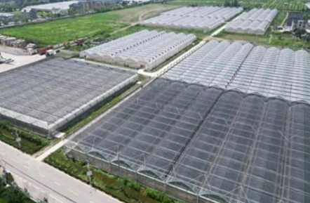 渤海银行创新金融服务与产品，扎根农村普惠“沃土”