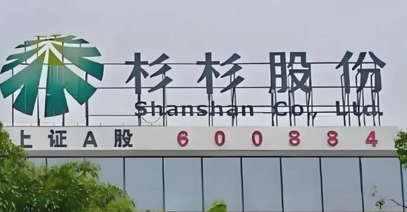 杉杉集团重整换天：525亿辽宁首富携方大系接棒