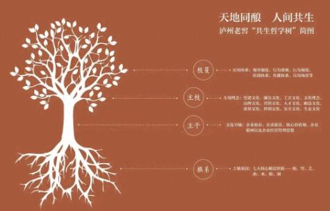 从 “天地同酿” 到《共生哲学》 泸州老窖如何用文化重构行业逻辑？