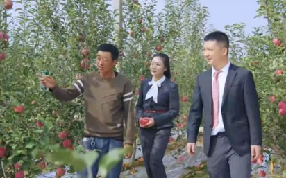 苹果贷、湖羊贷…浙商银行把金融服务送到田间地头